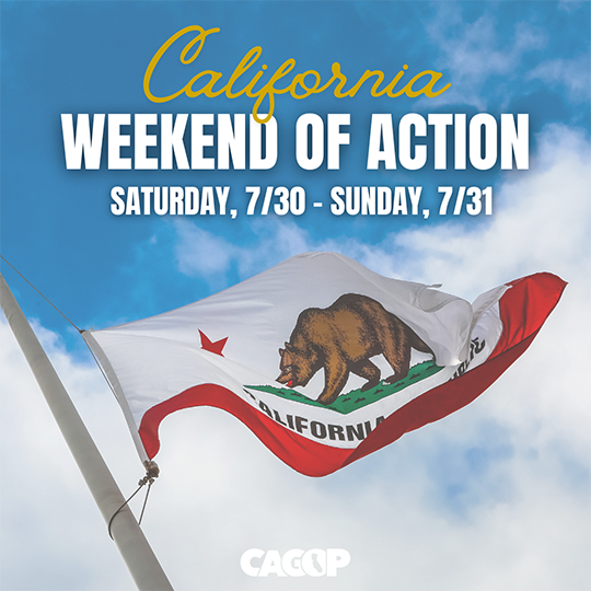 California Weekend of Action