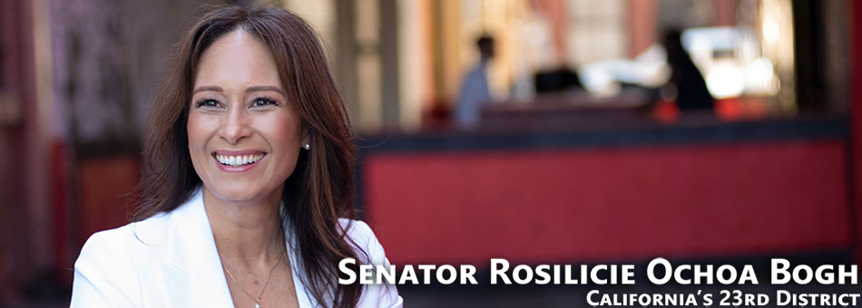 Senator Rosilicie Ochoa Bogh Honors Option House as Nonprofit of the Year